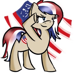 Size: 500x500 | Tagged: safe, artist:sketchynix, oc, oc only, oc:glory bell, nation ponies, united states