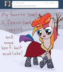 Size: 800x914 | Tagged: safe, artist:ambrosebuttercrust, toola roola, g3, ask, ask toola roola, clothes, hat, solo, tumblr