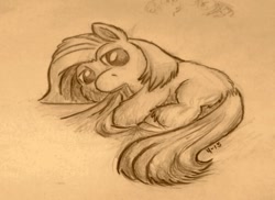 Size: 755x551 | Tagged: safe, artist:fluffsplosion, derpibooru import, fluffy pony, blanket, sketch