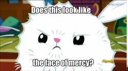 Size: 960x535 | Tagged: safe, screencap, angel bunny, castle sweet castle, face of mercy, fluffy angel, image macro, meme