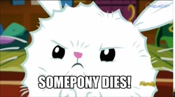 Size: 960x535 | Tagged: safe, screencap, angel bunny, castle sweet castle, cinemaquestria, fluffy angel, image macro, meme