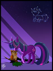 Size: 600x793 | Tagged: safe, artist:unibat, derpibooru import, owlowiscious, twilight sparkle, constellation