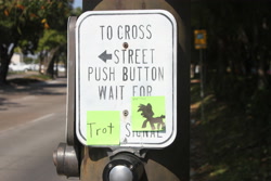 Size: 5184x3456 | Tagged: safe, artist:postitpony, cross walk, irl, nightmare nights dallas, photo, sticky note, trotting