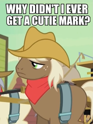 Size: 567x756 | Tagged: safe, party pooped, blank flank, cowboy hat, hat, image macro, meme, solo, unnamed pony