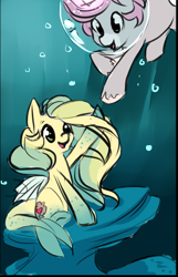 Size: 673x1043 | Tagged: safe, artist:starshinebeast, oc, oc only, oc:intrepid charm, oc:ocean pixel, pony, unicorn, aquapony, cute, female, male, seapegasus, straight, trail as a pony, underwater