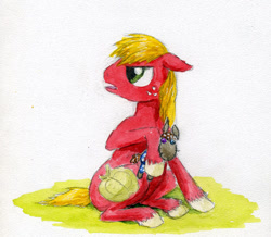 Size: 500x435 | Tagged: safe, artist:el-yeguero, big macintosh, smarty pants, earth pony, pony, male, stallion, traditional art