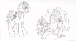 Size: 3244x1766 | Tagged: safe, artist:littlewolfstudios, oc, oc:kira, alicorn, cat, pony, awe, crossover, daryl dixon, face down ass up, floppy ears, meeting, norman reedus, open mouth, ponified, ponysona, sketch, smiling, spread wings, stars, starstruck, stubble, thought bubble, traditional art, walking dead