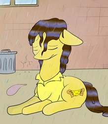 Size: 1024x1170 | Tagged: safe, artist:thedapperdragon, cheese sandwich, eyes closed, rain, solo, water, wet