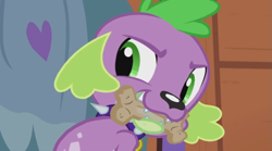 Size: 1355x755 | Tagged: safe, screencap, spike, dog, equestria girls, rainbow rocks, spike the dog