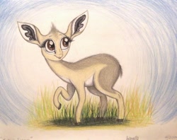 Size: 1004x796 | Tagged: safe, artist:thefriendlyelephant, oc, oc only, oc:kekere, antelope, dik dik, animal in mlp form, big ears, big eyes, cloven hooves, fluffy, grass, solo, traditional art