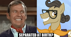 Size: 690x360 | Tagged: safe, trade ya, antique chicken, image macro, meme, paul lynde, separated at birth