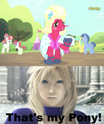 Size: 752x896 | Tagged: safe, screencap, big macintosh, blues, cherry berry, noteworthy, rainberry, rainbow stars, sunshower raindrops, earth pony, pony, brotherhooves social, cloud strife, crossdressing, final fantasy, final fantasy vii, male, meme, orchard blossom, stallion, that's my pony, that's my x