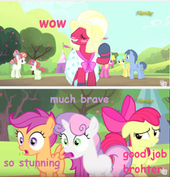 Size: 854x886 | Tagged: safe, screencap, apple bloom, big macintosh, blues, cherry berry, noteworthy, rainberry, rainbow stars, scootaloo, sunshower raindrops, sweetie belle, earth pony, pony, brotherhooves social, comic sans, cutie mark crusaders, doge, image macro, male, meme, orchard blossom, pink text, purple text, stallion