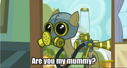 Size: 500x268 | Tagged: safe, edit, edited screencap, screencap, max raid, earth pony, pony, bloom and gloom, cropped, doctor who, pest pony, solo