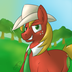 Size: 2000x2000 | Tagged: safe, artist:jorobro, big macintosh, earth pony, pony, hat, male, solo, stallion