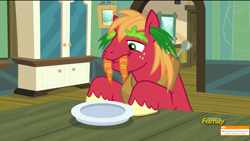 Size: 1920x1080 | Tagged: safe, screencap, big macintosh, earth pony, pony, brotherhooves social, carrot, male, skype, stallion