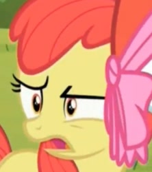 Size: 423x477 | Tagged: safe, screencap, apple bloom, earth pony, brotherhooves social, apple bloom's bow, female, filly, hair bow, red mane, yellow coat