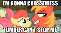 Size: 960x527 | Tagged: safe, screencap, apple bloom, big macintosh, earth pony, pony, brotherhooves social, image macro, male, meme, stallion, tumblr