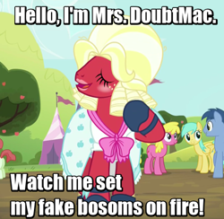 Size: 448x437 | Tagged: safe, screencap, big macintosh, blues, cherry berry, noteworthy, rainberry, rainbow stars, sunshower raindrops, earth pony, pony, brotherhooves social, crossdressing, image macro, male, meme, mrs. doubtfire, orchard blossom, solo focus, stallion, the critic