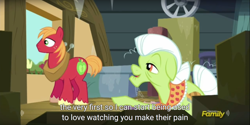 Size: 1920x960 | Tagged: safe, screencap, big macintosh, granny smith, earth pony, pony, brotherhooves social, male, meme, stallion, youtube caption