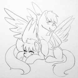 Size: 1600x1600 | Tagged: safe, artist:kianamai, oc, oc only, oc:prism bolt, oc:whirlwind, pegasus, pony, bandage, kilalaverse, monochrome, next generation, offspring, parent:cloudchaser, parent:rainbow dash, parent:soarin', parent:thunderlane, parents:soarindash, parents:thunderchaser, pencil drawing, spread wings, traditional art