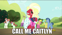 Size: 640x360 | Tagged: safe, screencap, big macintosh, blues, cherry berry, noteworthy, rainberry, rainbow stars, sunshower raindrops, earth pony, pony, brotherhooves social, crossdressing, image macro, male, meme, op is a cuck, op is trying to start shit, orchard blossom, stallion, transgender
