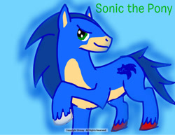 Size: 792x612 | Tagged: safe, artist:warrior-heart127, pony, ponified, solo, sonic the hedgehog, sonic the hedgehog (series)