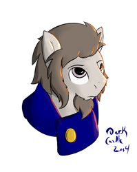 Size: 1049x1321 | Tagged: safe, artist:dark candle, oc, oc only, pony, beard, bust, clothes, colored, facial hair, male, portrait, solo, stallion