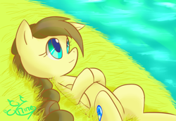 Size: 800x550 | Tagged: safe, artist:great9star, oc, oc only, oc:nemsee, pegasus, pony, water