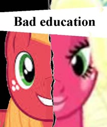 Size: 449x532 | Tagged: safe, big macintosh, earth pony, pony, brotherhooves social, bad education, la mala educacion, male, meme, movie, orchard blossom, parody, stallion