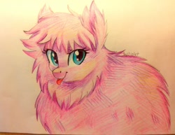 Size: 1024x792 | Tagged: safe, artist:voilet14, oc, oc only, oc:fluffle puff, :p, looking at you, raised eyebrow, smiling, solo, tongue out, traditional art