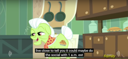 Size: 1020x478 | Tagged: safe, screencap, granny smith, brotherhooves social, meme, youtube caption