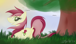 Size: 5200x3000 | Tagged: safe, artist:iflysna94, roseluck, earth pony, pony, cutie mark, female, mare, solo, two toned mane