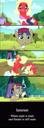 Size: 1922x5512 | Tagged: safe, screencap, apple bloom, big macintosh, showtime, earth pony, pony, brotherhooves social, sisterhooves social, comic, crossdressing, internet, male, rule 30, screencap comic, stallion