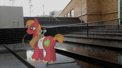 Size: 1920x1080 | Tagged: safe, artist:purpletoad, big macintosh, earth pony, pony, building, freckles, hay, irl, male, photo, ponies in real life, rain, solo, stairs, stallion, steps, vector