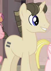 Size: 738x1032 | Tagged: safe, screencap, pony, unicorn, the cutie map, background pony, equal cutie mark, equalized mane, male, solo focus, stallion, unnamed pony