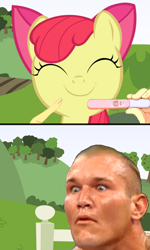 Size: 600x997 | Tagged: safe, apple bloom, earth pony, human, pony, /mlp/, comic, female, filly, male, meme, pregnancy test, pregnancy test meme, randy orton, rko outta nowhere, wwe