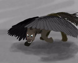 Size: 4143x3366 | Tagged: safe, artist:equum_amici, pegasus, pony, simple background, white background