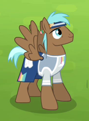 Size: 181x245 | Tagged: safe, screencap, pegasus, pony, rainbow falls, background pony, clothes, cropped, male, shirt, shorts, stallion, unnamed pony