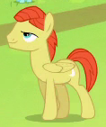 Size: 118x141 | Tagged: safe, screencap, pegasus, pony, rainbow falls, background pony, cropped, male, stallion, unnamed pony