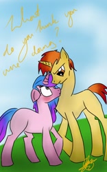 Size: 800x1280 | Tagged: safe, artist:frogmellamogz, oc, oc only, pony, unicorn