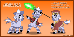 Size: 1000x509 | Tagged: safe, artist:kryptid, oc, oc only, zebra, clothes, dungeons and dragons, fire, necklace, robe, solo, spear