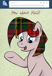 Size: 700x1016 | Tagged: safe, artist:ambrosebuttercrust, toola roola, g3, ask, ask toola roola, plaid, solo, tumblr