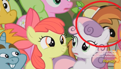Size: 585x335 | Tagged: safe, screencap, apple bloom, button mash, daisy, flower wishes, liquid button, scootaloo, snails, snips, sweetie belle, earth pony, pony, slice of life (episode), 100th episode, colt, discovery family logo, male, ponies standing next to each other