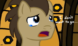 Size: 1023x614 | Tagged: safe, artist:thatphantomguy, doctor whooves, coward, crying, despair, doctor who, i don't want to go, regeneration, solo, tenth doctor, the end of time