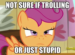 Size: 1104x805 | Tagged: safe, edit, edited screencap, screencap, scootaloo, pegasus, pony, bloom and gloom, cropped, female, filly, foal, image macro, meme, narrowed eyes, not sure if, reaction image, solo