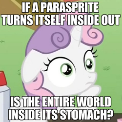 Size: 500x500 | Tagged: safe, screencap, sweetie belle, parasprite, pony, unicorn, exploitable meme, female, filly, horn, image macro, meme, solo, sudden clarity sweetie belle, text, two toned mane, white coat, wide eyes