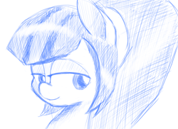 Size: 1482x1080 | Tagged: safe, artist:purpleblackkiwi, sonata dusk, pony, bust, crosshatch, monochrome, ponified, solo