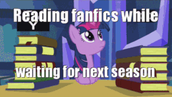 Size: 500x281 | Tagged: safe, edit, edited screencap, screencap, twilight sparkle, twilight sparkle (alicorn), alicorn, pony, made in manehattan, :p, :t, adorkable, animated, book, bookhorse, bored, caption, cute, discovery family, dork, exploitable meme, eyes closed, facedesk, female, floppy ears, frown, grumpy twilight, headdesk, hiatus, hype, i know that feel bro, image macro, magic, mare, meme, raspberry, reading, sigh, solo, table, telekinesis, text, that pony sure does love books, tongue out, twiabetes