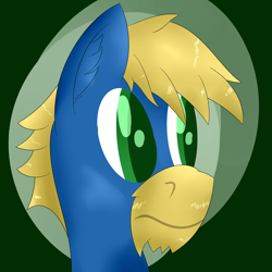 Size: 3000x3000 | Tagged: safe, artist:darklordsnuffles, oc, oc only, oc:doc helix, earth pony, pony, bust, colored pupils, digital art, face, male, solo, stallion